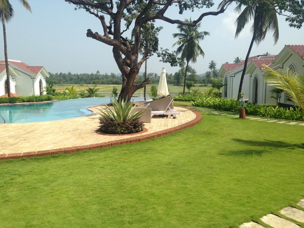 Studio And One Bedroom Apartment In Riviera Sapphire, Siolim Dış mekan fotoğraf
